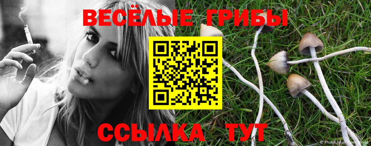 Галлюциногенные грибы ЛСД Алексеевка