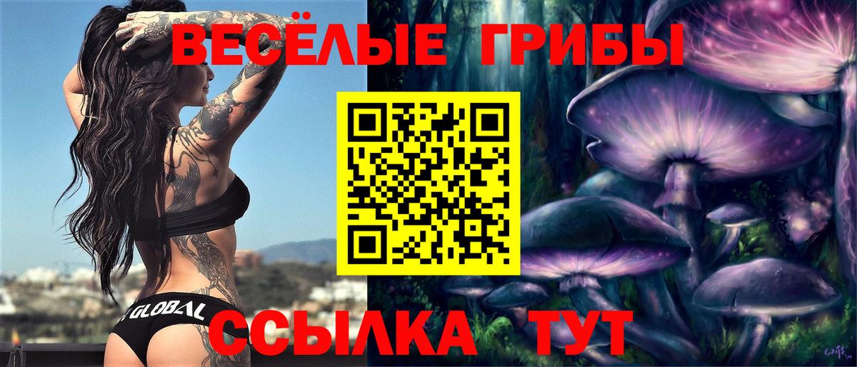 Псилоцибиновые грибы ЛСД  Вход с VPN  Псилоцибиновые грибы мухоморы  Алексеевка 